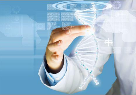 Программы ДНК-тестирования